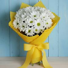 Букет цветов из:  Хризантемы в Бирске
