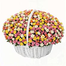 Премиум букет из: Розы в Бирске