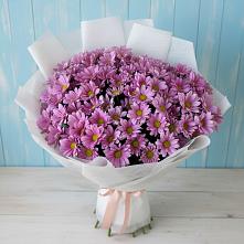 Букет цветов из:  Хризантемы в Бирске