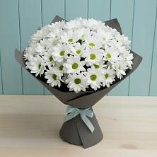 Букет цветов из:  Хризантемы в Бирске