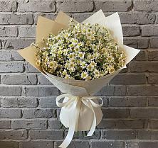 Букет цветов из:  Ромашки #REPLACE_PRED# Бирске