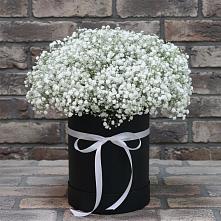 Цветочная композиция из Гипсофила в шляпной коробке #REPLACE_PRED# Бирске
