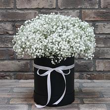 Цветочная композиция из Гипсофила в шляпной коробке в Бирске