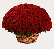 Премиум букет из: Розы в Бирске